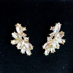 Rhinestones Pierced Earrings